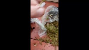 Агро маркет 24 продолжение истории