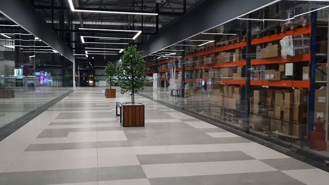 Идём в новый Торговый Центр. Цены в Беларуси. Мои покупки в Вайлдберриз. Закупка продуктов. Влог смотреть онлайн