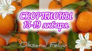 СКОРПИОНЫ. Неделя 13 - 19 января.