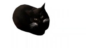 1 ЧАС MAXWELL CAT Meme