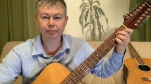 Обзор двух 12 струнных гитар ADAMS и Martinez