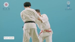 Sumi-otoshi