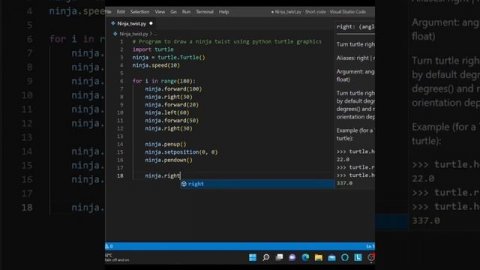 Program to draw a ninja twist using python turtle graphics |Vs Code | #shorts #python #pythonturtle