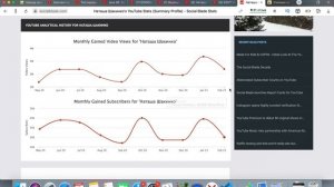 Доход канала Наташа Шакинко. Svetlana Müller
