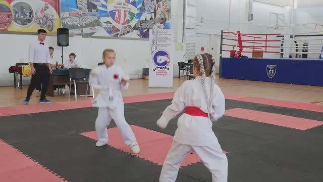 Каратэ шотокан. Кумитэ. Соревнования по всестилевому каратэ.