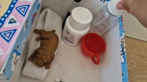 утро собачек/ вторая часть 💗