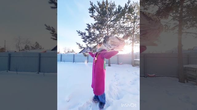 Карусел-карусел😂 #поприколу