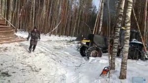 Мтз 82 на делянке. Укладка трели