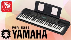 Синтезатор YAMAHA PSR-E283 || Домашние клавиши с обучением