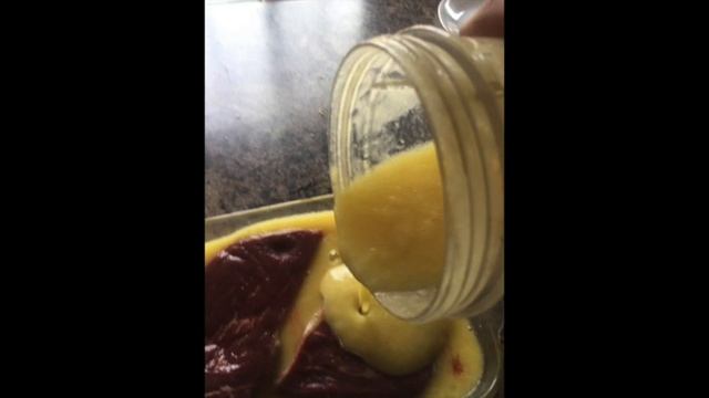 $3 Steak Tenderizing Pineapple Sous Vide Experiment