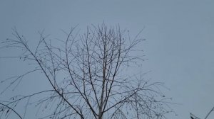 Свое производство | Работа кипит