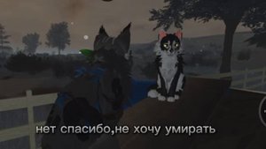 снимала с Дождливым Туманом (идя не моя)