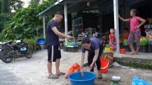 2 years of building a life: Harvesting Bananas, Fish, Cakes, To make Wooden Cutting. Trieu Mai Huong