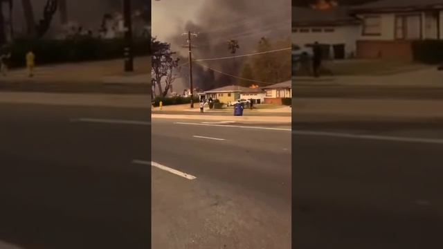 В Лос-Анджелесе отважные чернокожие волонтеры помогают спасти имущество богатых американцев. смотреть онлайн