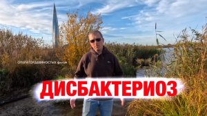 Дисбактериоз - всё, что нужно знать.