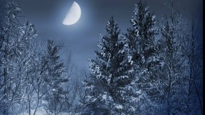 =ЗИМНИЙ ВЕЧЕР= Стихи Людмила Самолюк. Музыка Шулик Фингеров. Вокал Любовь Великанова.Звук Арнольд Ма