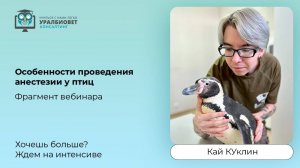 Фрагмент интенсива "Особенности проведения анестезии у птиц", лектор Кай Куклин