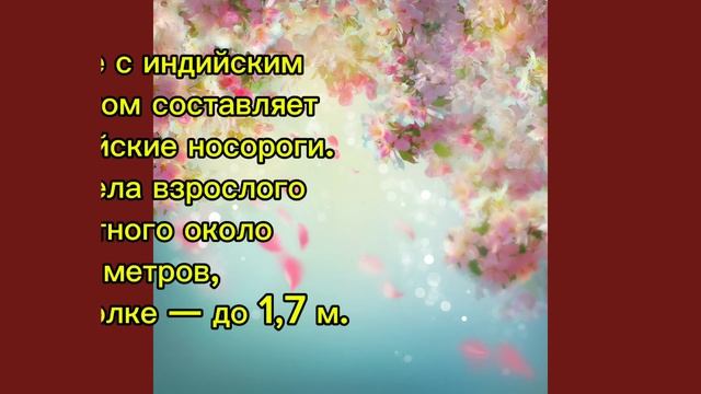 Самое редкое явление #краснаякнига #животные #природа #носорог       #исчезающиевиды #Вымирающиевид