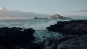 Терапевта уволили за больничный для бродяги, а едва она устроилась сиделкой в странный дом