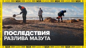 В Крыму устраняют последствия разлива мазута на побережье Черного моря - Москва 24