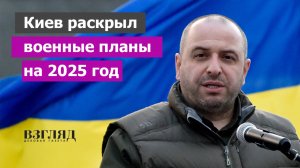 «Стабилизация линии фронта» и «асимметричный ответ». Что задумали у Зеленского. Отчет перед Западом