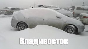 Снег и метель во Владивостоке, бухта Тихая, 2020 ❄❄❄