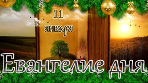 Апостол, Евангелие и Святые дня. Суббота по Рождестве Христовом. (11.01.25)