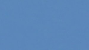 Курские голуби, Александр +380689619801