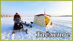 Рыбалка на таёжном озере. Нижневартовск