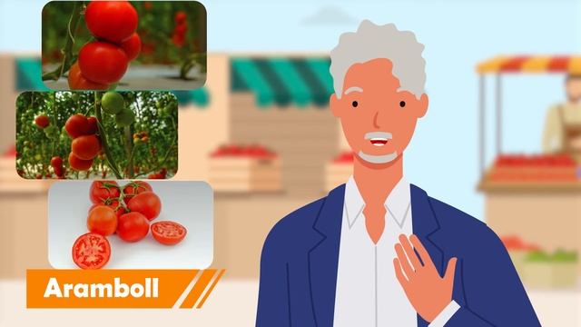 Assortiment Tomates Nunhems - Maroc смотреть онлайн