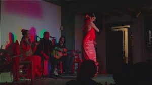 Фламенко. Мадрид. Испания.