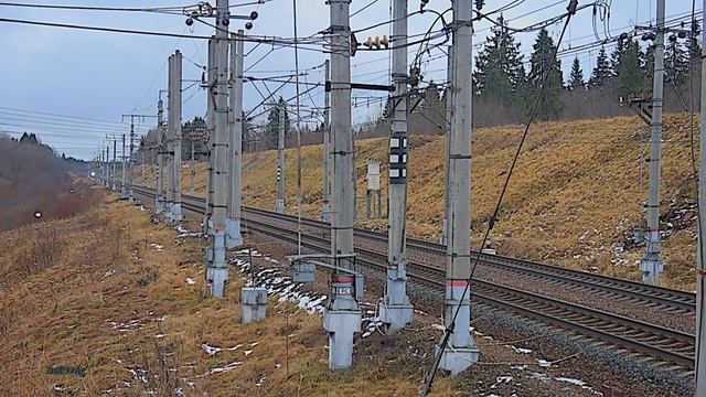 Поезд Сапсан