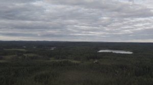 Нелгомозеро. 21.07.2021/3