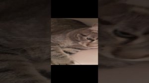 Спортивное видео😼