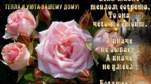 Жизнь идёт, бежит и мчится…