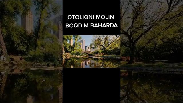Raxmatjon Qurbonov - Otaliqni molin boqdim | Рахматжон Курбонов - Оталикни молин бокдим