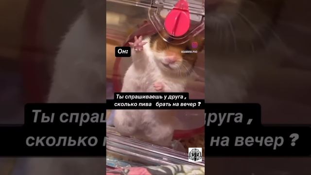 Сколько?