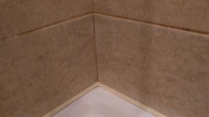 Как избавиться от плесени ? дёшево и эффективно