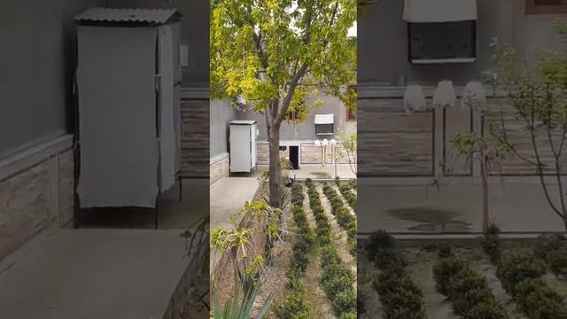 Сайрок,и Бедана Зуридан