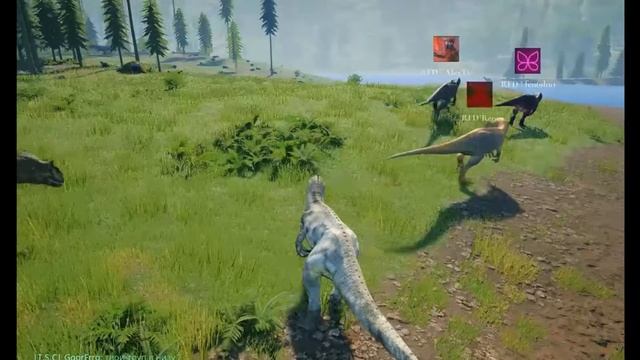 The Isle Прогулки на Аллозавре . Много Цератозавров