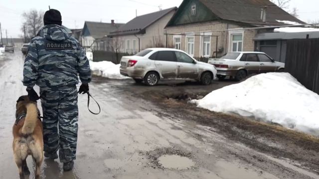 В Каменске-Уральском служебная собака помогла полицейским найти подозреваемого в убийстве