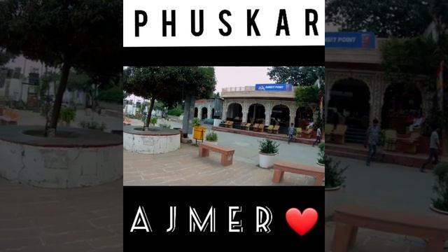 Pushkar || Pushkar Lake || SunSet Point View || Camel Safari || Bhrama Mandir || Famous Malpue.