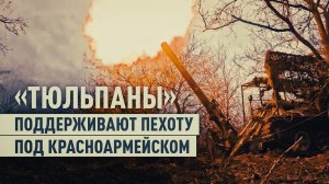 Огневая поддержка «Тюльпанов»: наступление группировки войск «Центр» на Красноармейском направлении