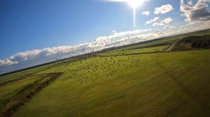 Птички на FPV дрон