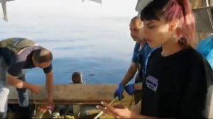 Греки, Греция Орёл и Решка Земляне