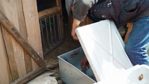 ЖИЗНЬ В ДЕРЕВНЕ БЕЗ ЭЛЕКТРИЧЕСТВА | ПАШЕМ ОГОРОД | ДЕЛАЕМ ВОЛЬЕР | КУПИЛИ КУР