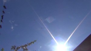 Николаевские и Кировоградские голуби 13 05 2020г