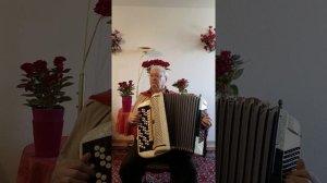 Дикие гуси.