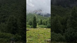 Кислые источники