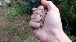 Абиссинская скважина. ДВЕ ТОННЫ В ЧАС!!! .Деревня Верхние Осельки.